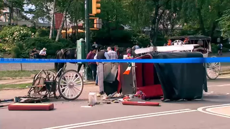 Central Park Carriage Horse Kills 18-Year-Old Tourist Near Tavern on the Green