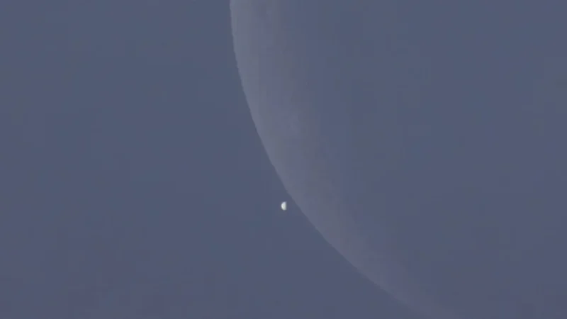 Dr. Tony Phillips Guides Venus Moon Eclipse Viewing, 11-Year Wait Ends