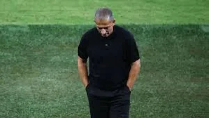 Sabri Lamouchi Fired After Tunisia's 5-1 Loss, Next World Cup Game