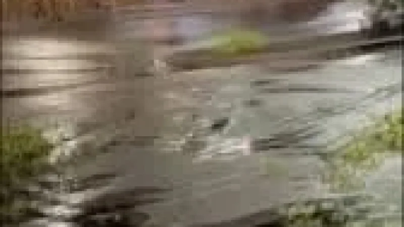 Storm damage reported in Oakbrook, Florence Ky Tornado coverage