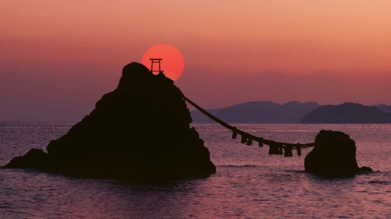 Sunyoung Park Links Seismic Wave to Japan’s 6-Millimeter Eastward Shift