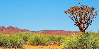 Pfalzmuseum Forchheim zeigt Namibia exhibition until 2 August