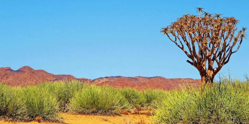 Pfalzmuseum Forchheim zeigt Namibia exhibition until 2 August