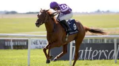 Ryan Moore rides Precise to Coronation Stakes win