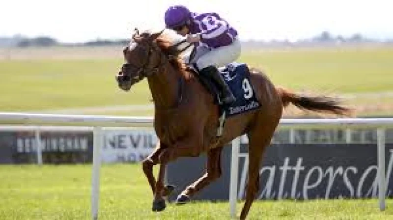 Ryan Moore rides Precise to Coronation Stakes win