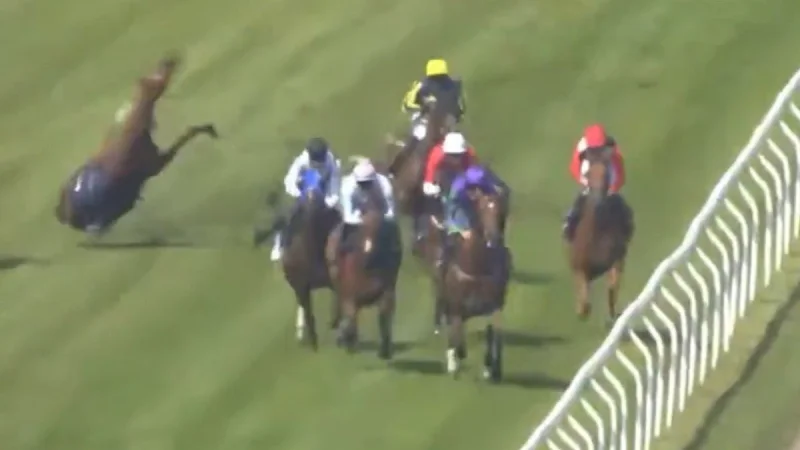 Jack Dace conscious and taken to hospital after Brighton fall