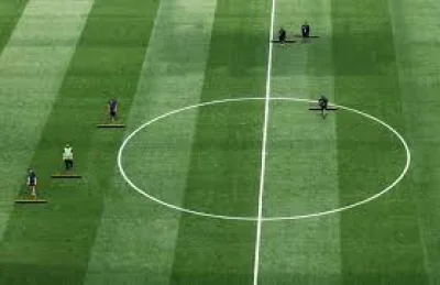 Didier Deschamps calls MetLife Stadium pitch special after 3-1 win