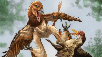 Jian changmaensis Fossil Suggests a Predator Behind 1.22 Meter Wingspan