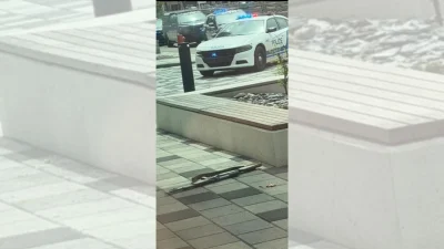SPVM Responds as Montreal Shooting Kills 2 in Côte-des-Neiges