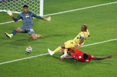 Jordan Ayew gets Doris Boaduwaa backing after Panama game criticism