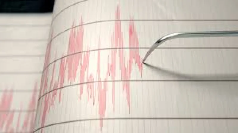 Heather Rose says Earthquake Today injured some in Willits, California