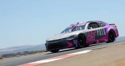 Tyler Reddick Falls to Alex Bowman in Nascar Standings Reset