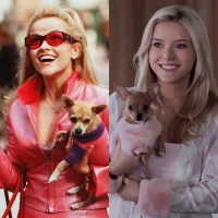 Lexi Minetree leads Legally Blonde renewal with season two