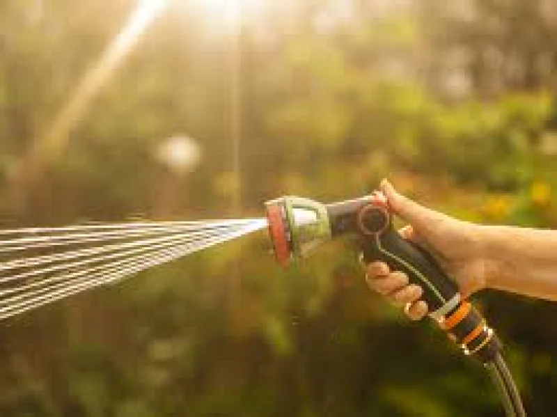 Southern Water Hosepipe Ban Begins for One Million Customers