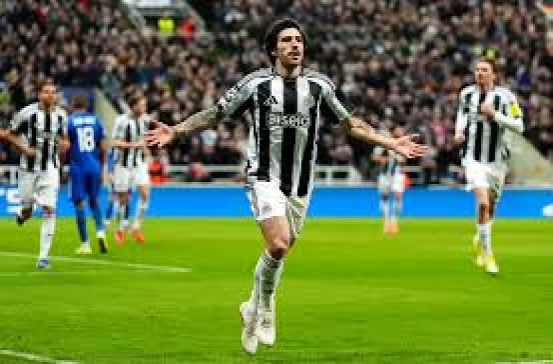 Tonali set for Tottenham move worth up to £100m — Newcastle United Fc