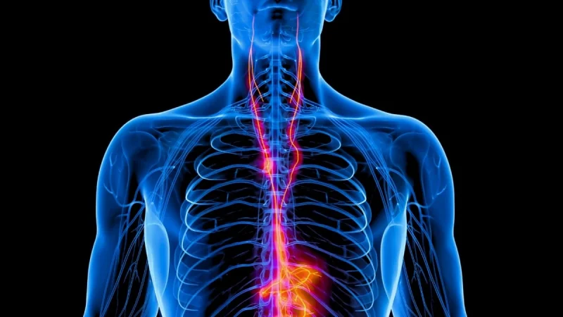 VNS study links 69 per cent response in Depression Treatment