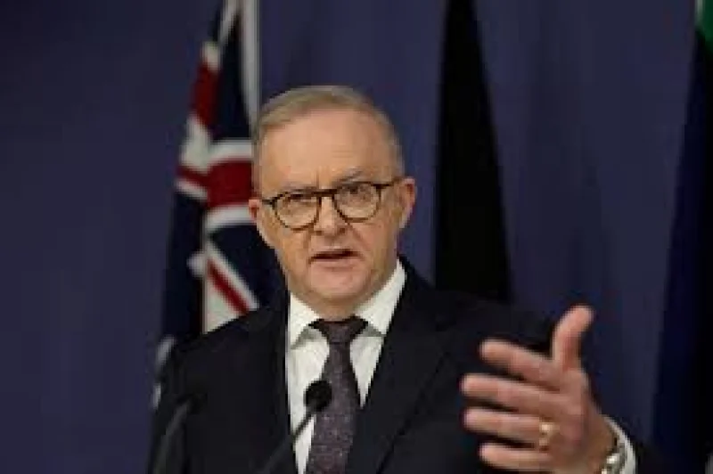 Anthony Albanese apologises over Nikki Osborne Kylie Minogue remark