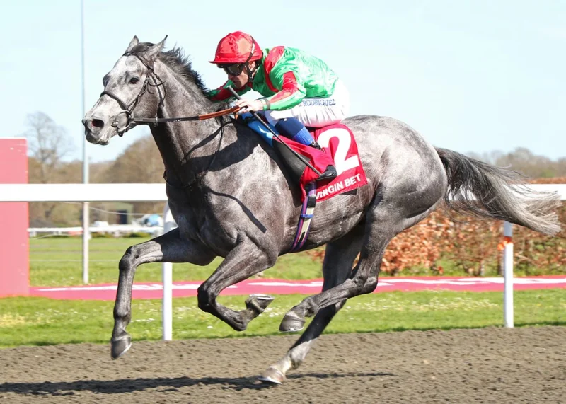 Martin Taylor sells Gethin before Coral-Eclipse at Sandown Clacton
