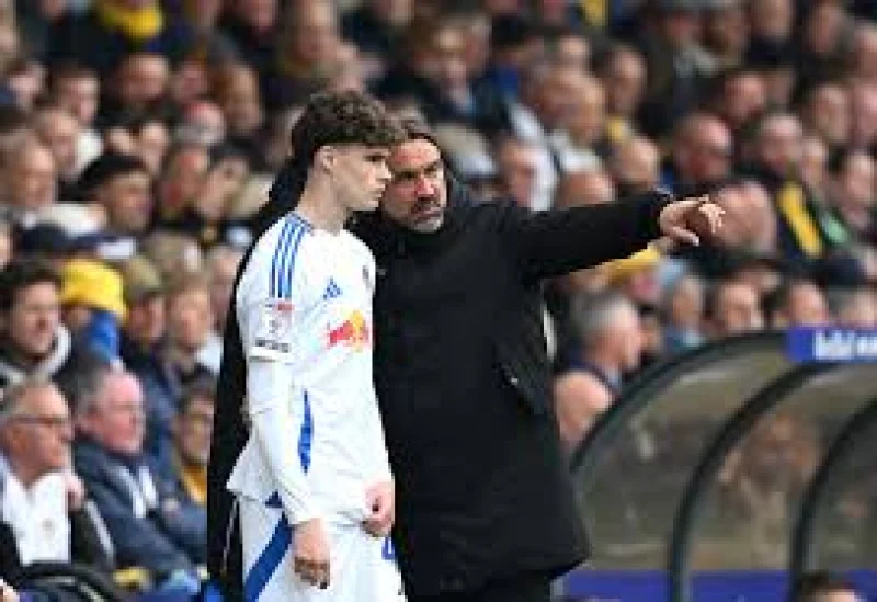 Sheffield Wednesday sign Harry Gray on season-long loan as Leeds United striker gets new chance