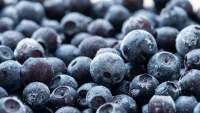 Publix Organic Blueberry Recall Follows 12 E. coli Illnesses