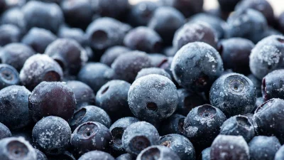 Publix Organic Blueberry Recall Follows 12 E. coli Illnesses