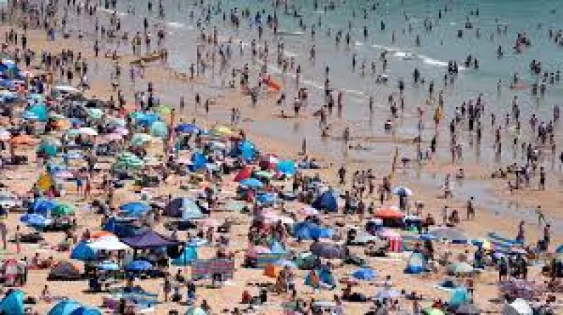 Dr Ségolène Berthou warns Cbbc on UK marine heatwave at 2C
