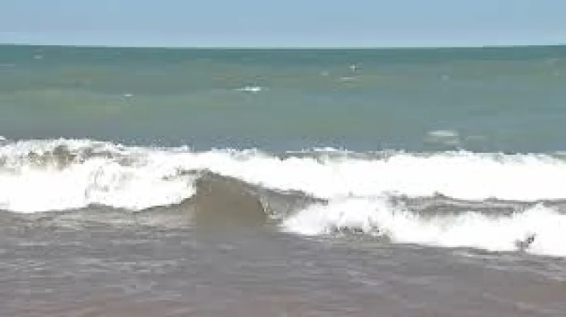Suzan Van Der Lee Explains Earthquake In Chicago Felt Across Lake Michigan