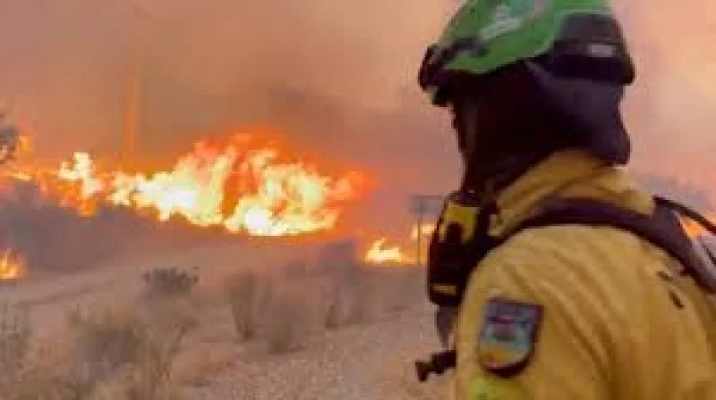 Antonio Sanz says 11 died in Almería, Spain wildfire