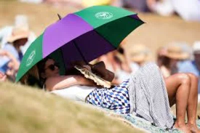 Ferry Match Today: Arthur Fery says nose procedure and The Godfather helped Wimbledon semi-final run