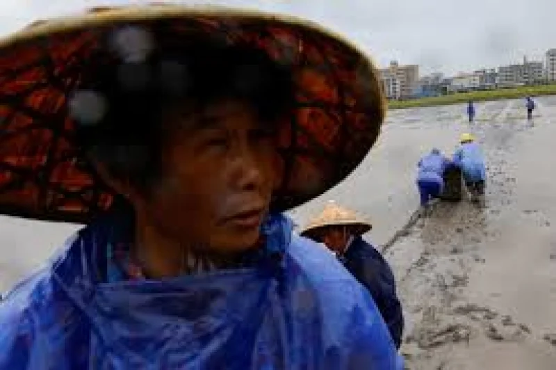 Typhoon Bavi Brings Braces to Japan's Ryukyu Islands