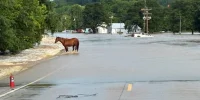 Mike Kehoe Mobilizes Missouri Flash Flooding Response After 40 Rescued