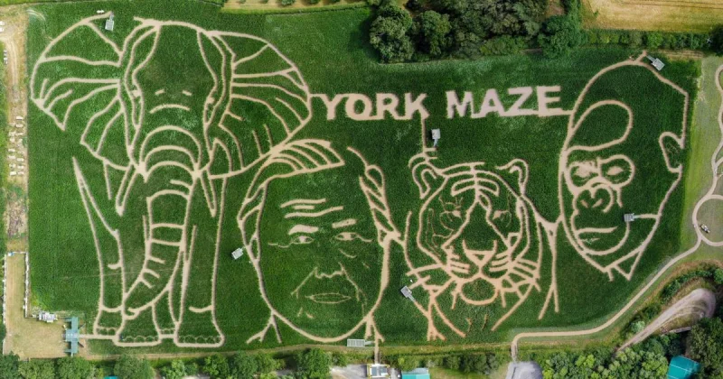 Tom Pearcy unveils 100m David Attenborough maze for 2026