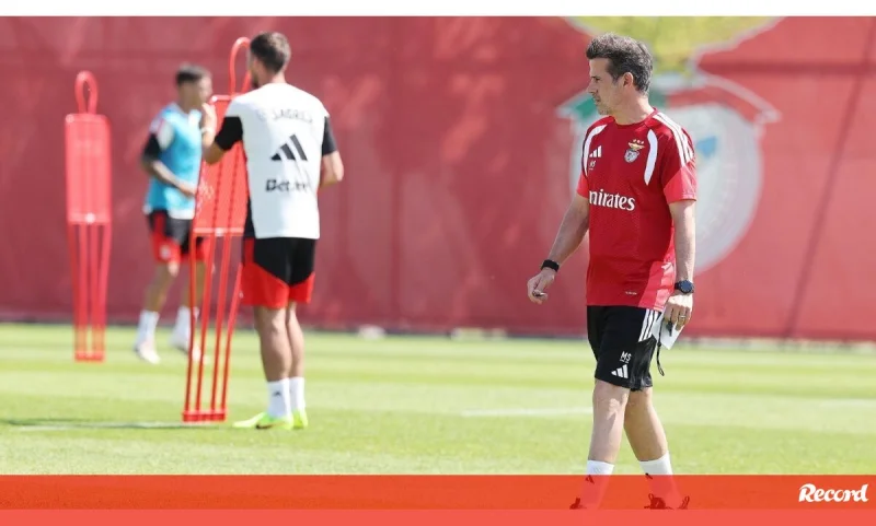Marco Silva debut against Flamengo as Benfica meets Flamengo in Troféu do Algarve