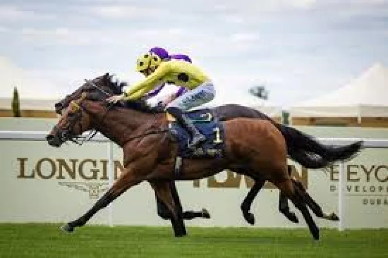 Bow Echo begins Sussex Stakes build-up for July 29 — Echo