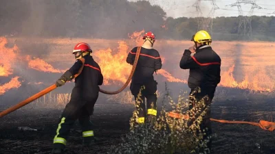 Éric Brocardi décrit une première à Fontainebleau après 800 hectares brûlés