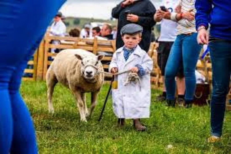 Barrie Mason warns of delays as Great Yorkshire Show reaches 37,500