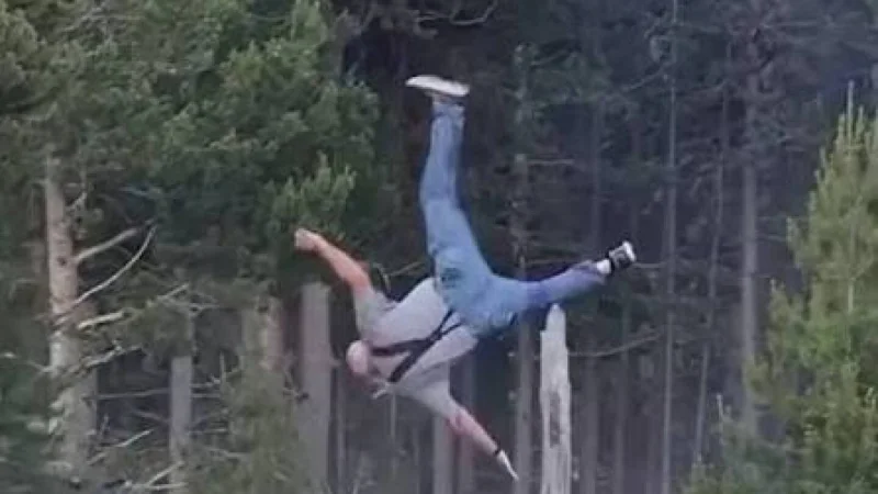 Mike MacLeod Describes Yellowstone Bison Tossing Grandpa Eight Feet