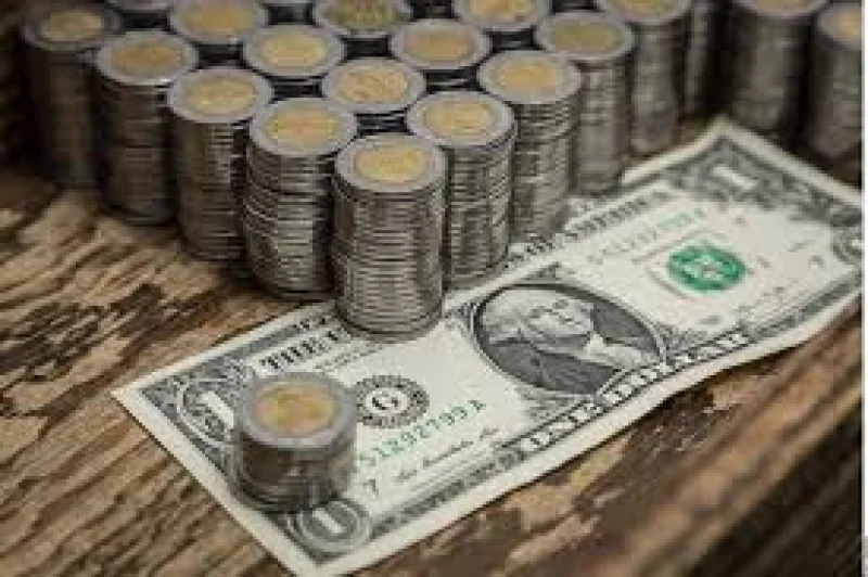 Janneth Quiroz Zamora reporta Us Dollar a 17.48 pesos