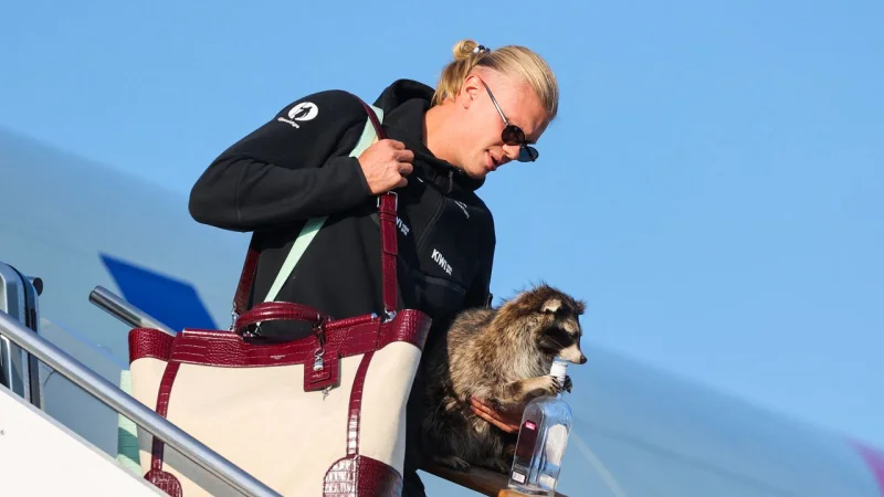 Haaland Raccoon Returns as Norway Gets Oslo Royal Homecoming
