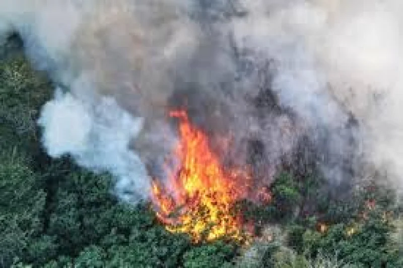 Eight fire engines sent to Devil's Dyke wildfire in West Sussex