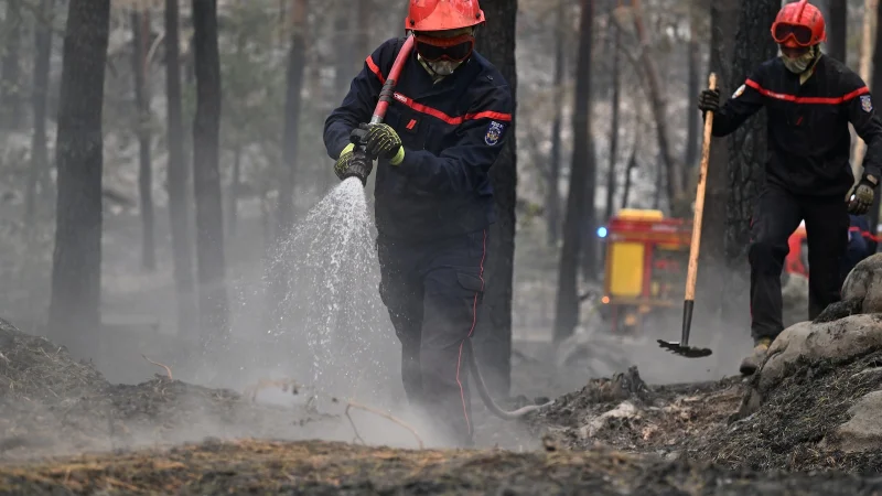 Laurent Nunez says two arrested after Fontainebleau fires near Paris