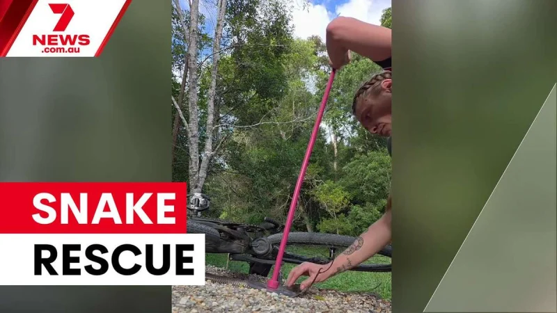 Sarah Mailey frees Snake from bike chain after Burringbar bite