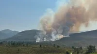 Neil Gray says Cairngorms National Park blaze contained after 300 hectares