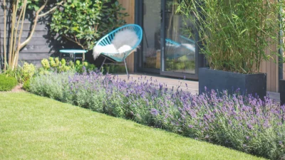 Monty Don says lavender can flower for weeks with July watering