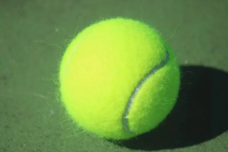 Nikoloz Basilashvili betting preview: Henrique Rocha given 52% edge over Pedro Martinez at the 2026 ATP Estoril Open