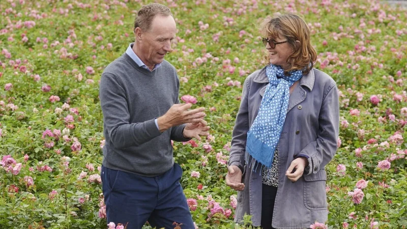 David J. C. Austin dies at 67, David Austin Roses says