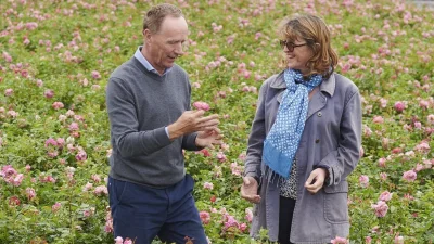 David J. C. Austin dies at 67 after CJD diagnosis, Gardeners World Death