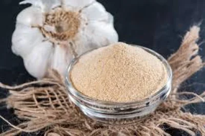 Canadian Food Inspection Agency issues Garlic Powder Recall at Dollarama