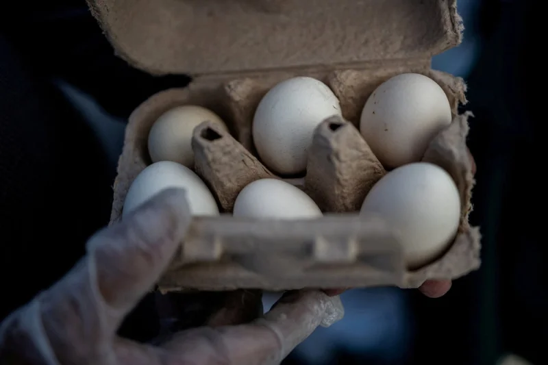 Midwest Poultry Services recalls 1,589,577 Egg Recall units