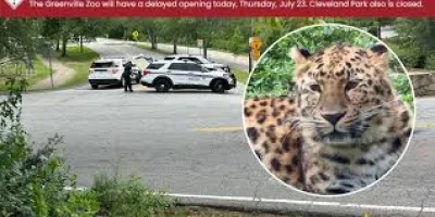 Greenville Zoo tranquilizes Irina after Thursday escape
